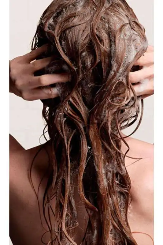 Aveda Botanical Repair Yıpranmış Saçlar İçin Şampuan 1000 Ml - 5