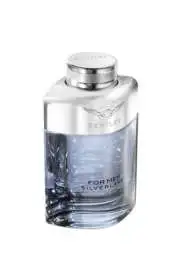 Bentley For Men Silverlake EDP Erkek Parfümü 100 Ml - 1