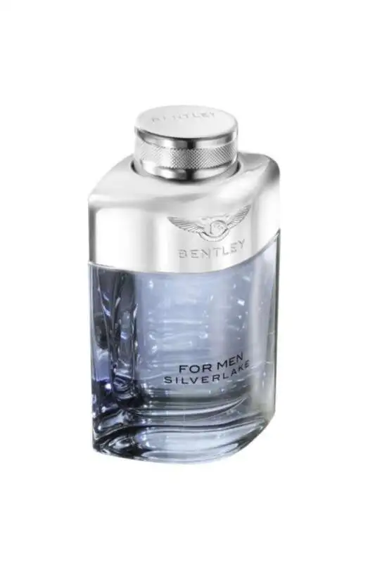 Bentley For Men Silverlake EDP Erkek Parfümü 100 Ml - 1