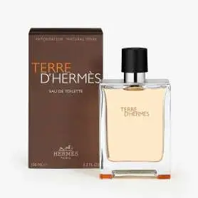 Hermes Terre D Hermes EDT 100 ml Erkek Parfüm - 2