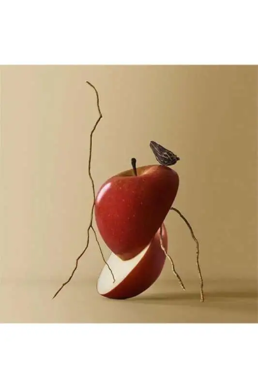 Hugo Boss Bottled EDP 100ML Erkek Parfüm - 3