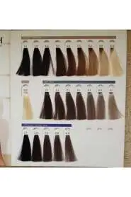 Hush The Passion 10/2 Platin Sarı Bej Saç Boyası 60 ml | Doğal ve Işıltılı Bej Tonlar - 2