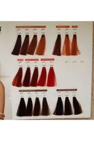 Hush The Passion 10/2 Platin Sarı Bej Saç Boyası 60 ml | Doğal ve Işıltılı Bej Tonlar - 4