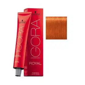 Schwarzkopf Igora Royal Colors 8-77 Açık Kumral Yoğun Bakır Saç Boya 60ml - Igora