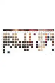 SCHWARZKOPF Igora Royal Saç Boyası 60ml | 9-1 Sarı Sandre - 2