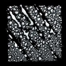 LOréal Professionnel Vitamino Color Renk Koruyucu Şampuan - Boyalı ve Parlak Saçlar İçin UV Filtreli Bakım 500 Ml - 5