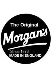 Morgans Pomade Hair Darkening Cream - Gri Örtücü ve Saç Koyulaştırıcı Bakım Kremi 150ml - 4
