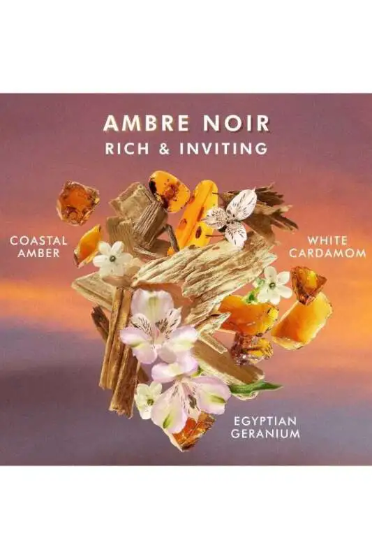 Moroccanoil Amber Noir Lüks Vücut Losyonu - Derin Nem ve Egzotik Amber Kokusu 360 ML - 3