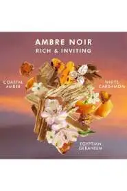 Moroccanoil Amber Noir Lüks Vücut Losyonu - Derin Nem ve Egzotik Amber Kokusu 360 ML - 3