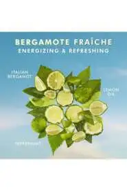 Moroccanoil Shower Gel Bergamot Fraiche & Argan Yağlı Ferahlatıcı ve Nemlendirici Duş Jeli 250ml - 2