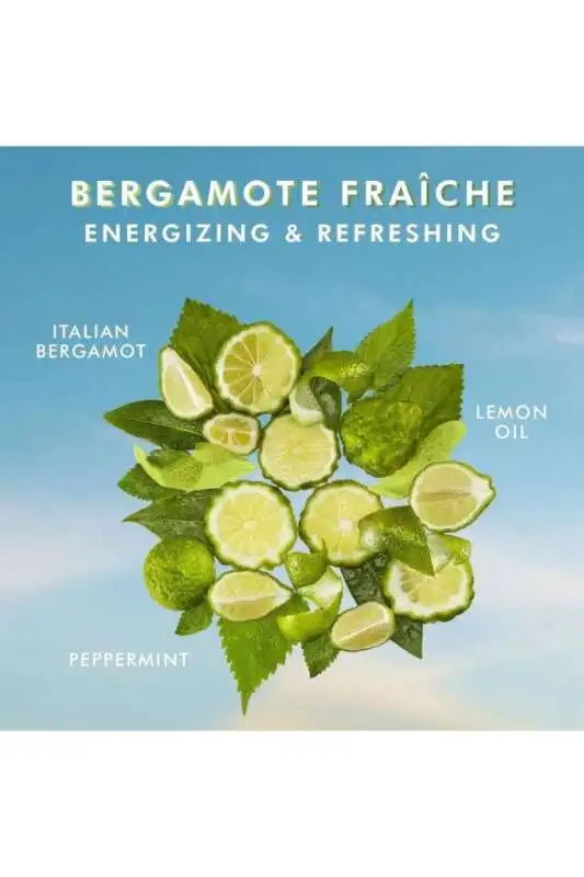 Moroccanoil Shower Gel Bergamot Fraiche & Argan Yağlı Ferahlatıcı ve Nemlendirici Duş Jeli 250ml - 2