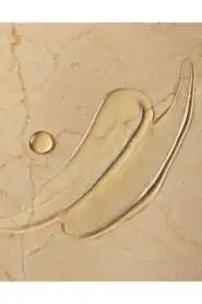 Moroccanoil Shower Gel Bergamot Fraiche & Argan Yağlı Ferahlatıcı ve Nemlendirici Duş Jeli 250ml - 3