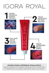 Schwarzkopf Igora Royal Colors 0-77 Bakır Yoğunlaştırıcı Saç Boyası 60ml | Yoğun Bakır Renk Pigmenti - 2
