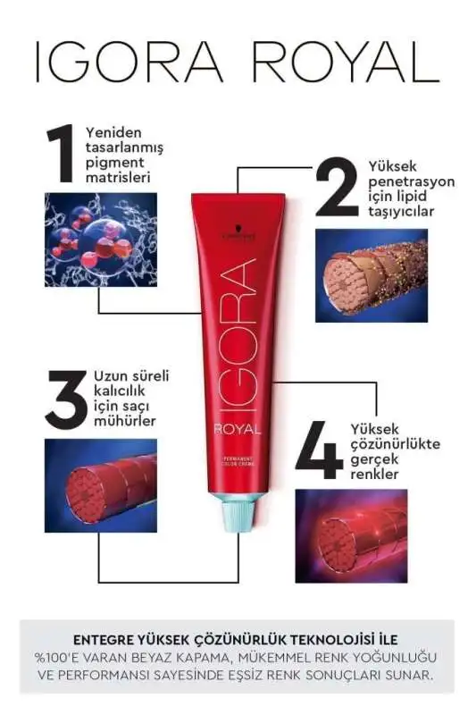 Schwarzkopf Igora Royal Colors 6-63 Koyu Kumral Çikolata Mat Saç Boyası 60 ml | Zengin Çikolata Tonları, Mat ve Doğal Görünüm - 2