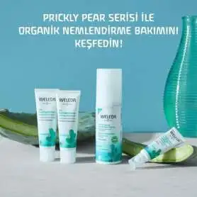 Weleda Cactus 24H Nemlendirici Yüz Kremi 30 ml | Yoğun Nemlendirme ve Canlandırıcı Bakım - 3