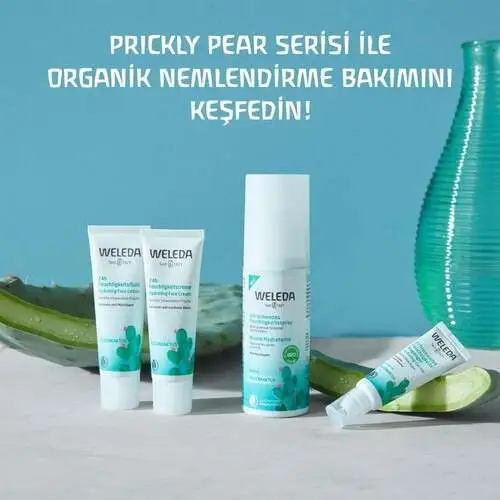 Weleda Cactus 24H Nemlendirici Yüz Kremi 30 ml | Yoğun Nemlendirme ve Canlandırıcı Bakım - 3