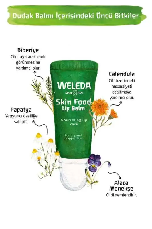 Weleda Skin Food Lip Balm Besleyici Dudak Balm 8ml - 2